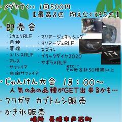 メダカくじ