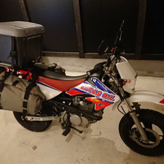 XR100モタードの画像