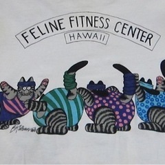 crazy shirt クリバンキャット TシャツAの画像