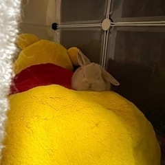 現在お問合せを頂いておりますので受付を一時中止いたします☆七夕生...