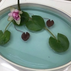草月流💐月紫野庵いすみ教室の画像
