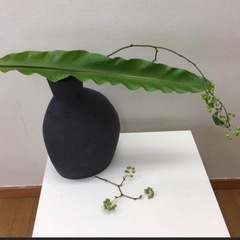草月流💐月紫野庵いすみ教室の画像