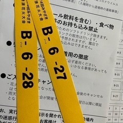 みやざき納涼花火大会
