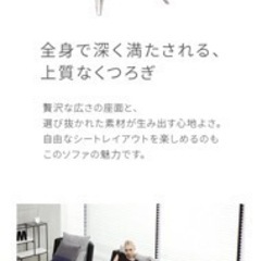【値下げ】価格応相談　アルモニア カウチソファ ブラック×グレーの画像