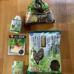 スズムシ飼育セット