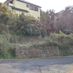 千葉市中央区　土地　35.39坪の画像
