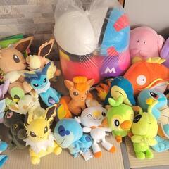 ポケモンぬいぐるみ 44個！の画像