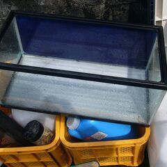 ガラス水槽蓋無し幅６０高さ２５奥行３０ｃｍ２個ありますの画像