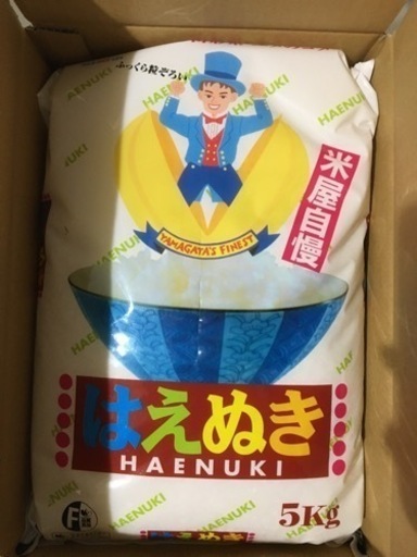 はえぬき　お米　5kg  「決まりました」