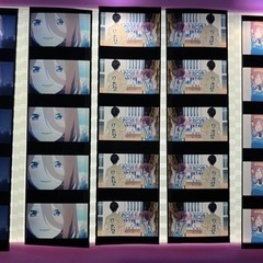 映画 五等分の花嫁 ごと嫁 入場者特典 フィルム 中野三玖 6枚...