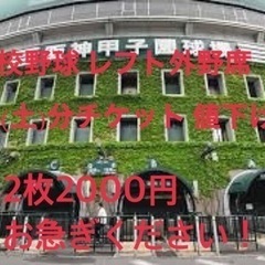 高校野球レフト外野席チケット2枚