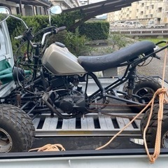 バギー  TWエンジン搭載