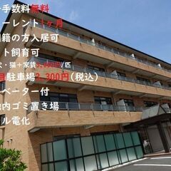 🍀グリーンハイツ　203号室🍀LDK広いです（18帖）✨✨🏠磐田...