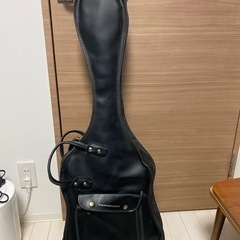 エレキギターとケースの画像
