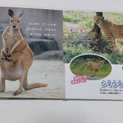 どうぶつえんの画像