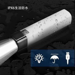 【新品】ペンライト　ラスト1点の画像