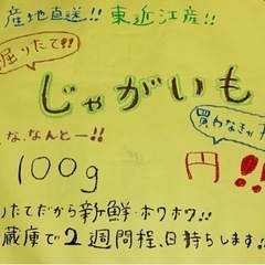 採りたて新鮮野菜販売します!!8月7日10時から
