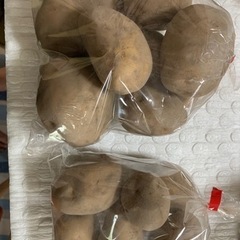 採りたて新鮮野菜販売します!!8月7日10時から - 大津市