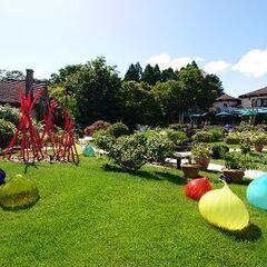友達募集 looking for friends(ディズニーやブッフェや気軽に遊べるような方) English available - 友達