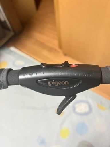 Pigeon ランフィリノン RBOL