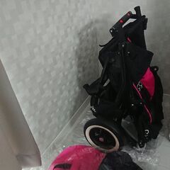 フィルアンドテッズ 2人乗り 三輪エアバギーの画像