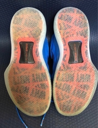 NIKE ナイキ エア ジョーダン WHY NOT