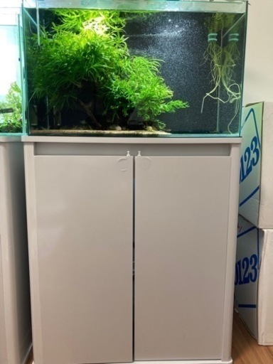 60cm水槽、水槽台