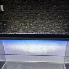 90センチ水槽セット(あの高級メーカーADAのライトスクリーン含む)
