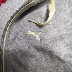 PUMA♪ショート丈の画像