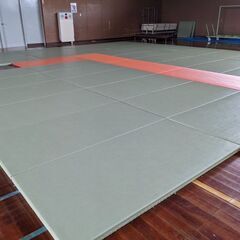 柔道マット かすみ 講道館指定 畳 １０枚セット