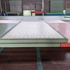 柔道マット かすみ 講道館指定 畳 １０枚セットの画像