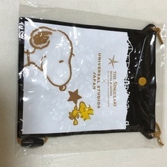 ⭐︎ 新品*未使用*未開封☆ スヌーピー　マルチパスケースの画像