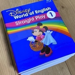 【新品同様】ディズニー英語システム ストレートプレイ ブルーレイ12枚セットの画像