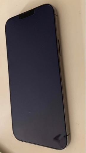 iPhone 13 Pro Max256GB 