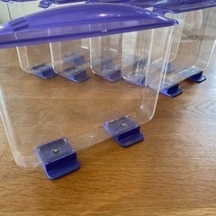 [交渉中]カブトムシ幼虫用見える観察ケース x 6個