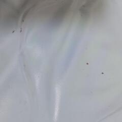 【受付終了】INTEX ベビープール（ビニールプール）の画像