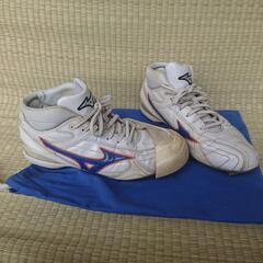 中古 MIZUNO 野球スパイク 白×青 27cmの画像