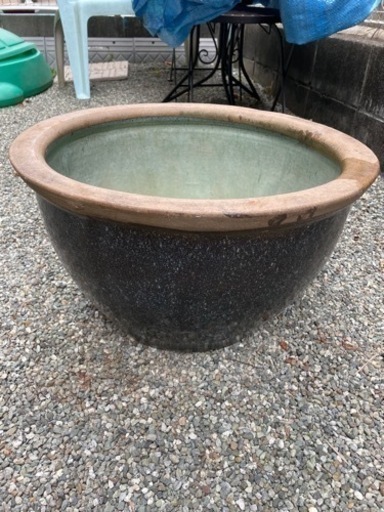 金魚、メダカ鉢(取引中)