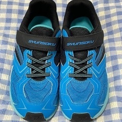 アキレス 瞬足　23.0㎝の画像