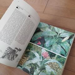 洋書「THE BOOK OF HOUSE PLANTS」