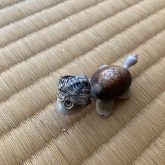 亀の置物4匹　　予定者決定しましたの画像