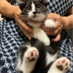 馴れ馴れみすずちゃん 4ヶ月