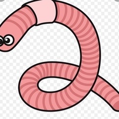 みみず　の居る場所教えてください
