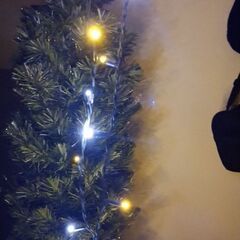 クリスマスツリーの画像