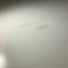 ローテーブルの画像