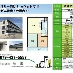 13万円サービス‼️ペット可‼️2LDK、東加古川、初期費用軽減‼️ - 加古川市