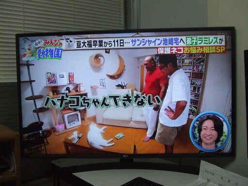 2018年型　LG電子４３インチ４K対応液晶テレビ（美品）