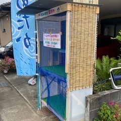 メダカ　無人販売所　14日オープンセール　10時より　めだか