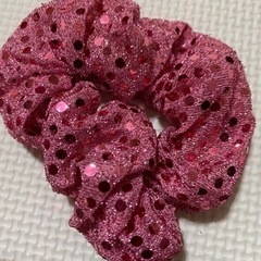 シュシュの画像