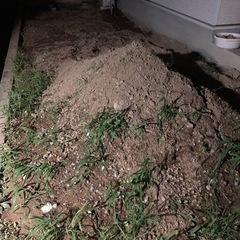 残土　小石あり　1000円あげます